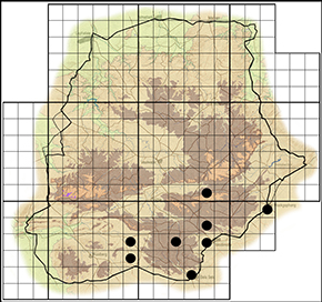 Eurema desjardinsii Waterberg distribution